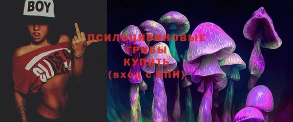 мескалин Лабытнанги