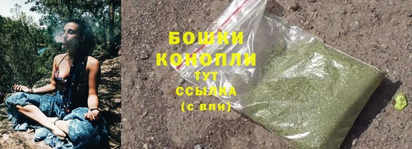мескалин Лабытнанги