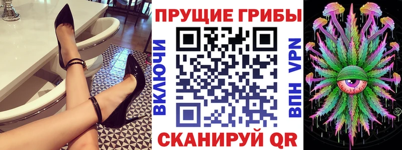 Галлюциногенные грибы Psilocybe Темников